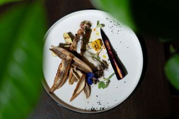 restaurant-cover